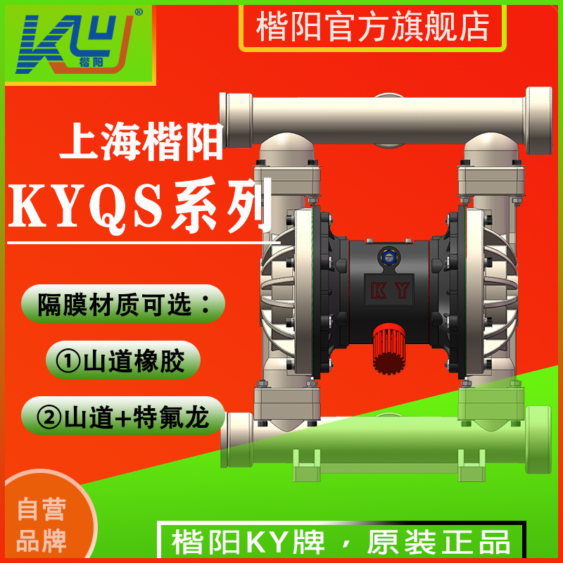 KYQS65LF氟塑料氣動(dòng)隔膜泵4