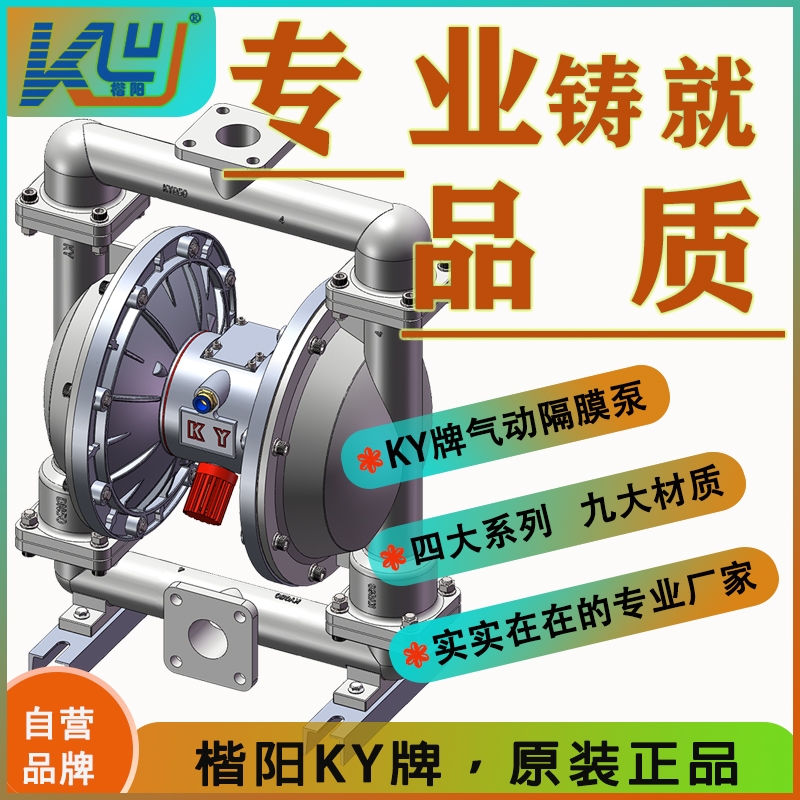 KYQ50L6不銹鋼氣動隔膜泵4