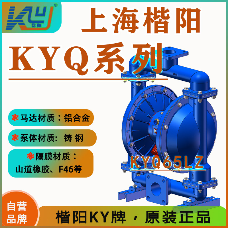 KYQ65LZ鑄鋼氣動隔膜泵2